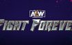 《全精英摔角：永远的战斗/AEW: Fight Forever》v1.10