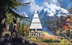 《松树/Pine》v13