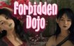 禁忌道场/Forbidden Dojo