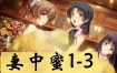 妻中蜜（1+2+3 合集） 