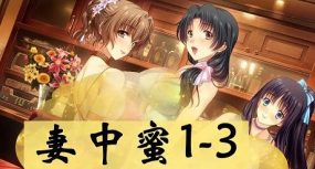 妻中蜜（1+2+3 合集） 