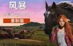 风暴：深厚友谊的开始/Windstorm: Start of a Great Friendship（v8726731）重制版