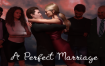 完美的婚姻/A Perfect Marriage（V0.71）