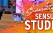 《模拟人生4》感官工作室/Sensual Studio（v3.2适配主体V1.107）