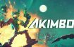 机器双雄/Akimbot